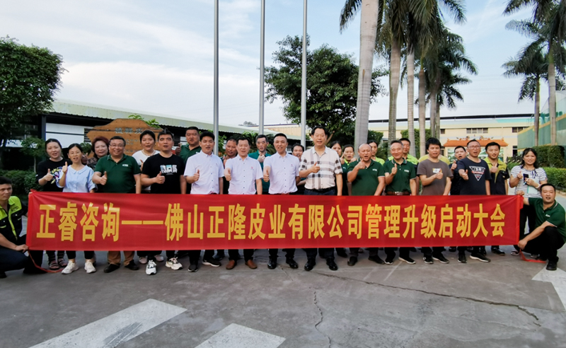 助力皮革行業(yè)再樹標桿——正隆皮業(yè)全面管理升級項目啟動！