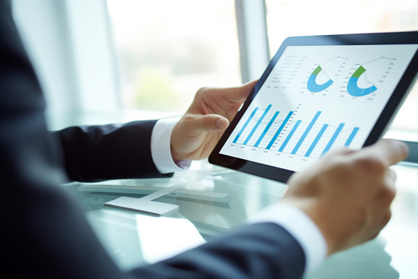 年度業(yè)務(wù)拓展計(jì)劃：多元發(fā)展，全面增長(zhǎng)