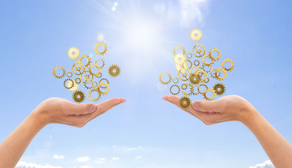 多品牌戰(zhàn)略：協(xié)同作戰(zhàn)，共創(chuàng)輝煌