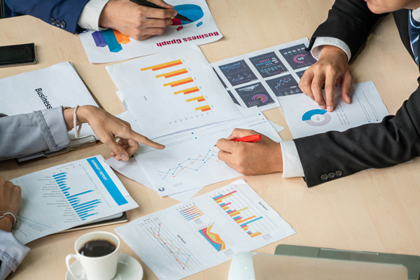 集團管控：構建一體化管理體系，引領企業(yè)走向卓越