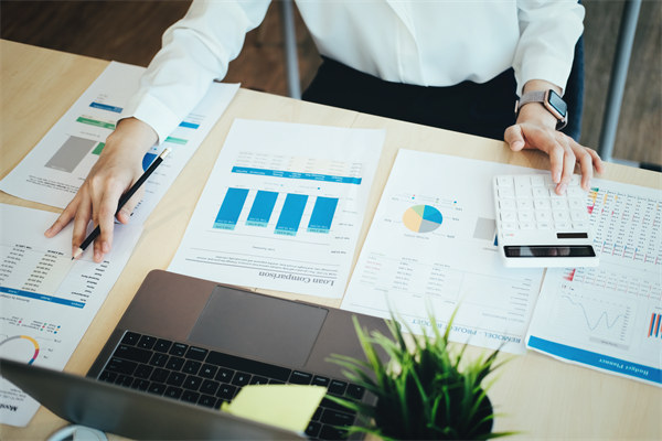 年度經營計劃：實現業(yè)務增長與市場拓展