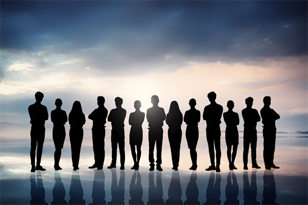 優(yōu)化組織結(jié)構(gòu)，提升協(xié)作效能，助推組織發(fā)展新高度