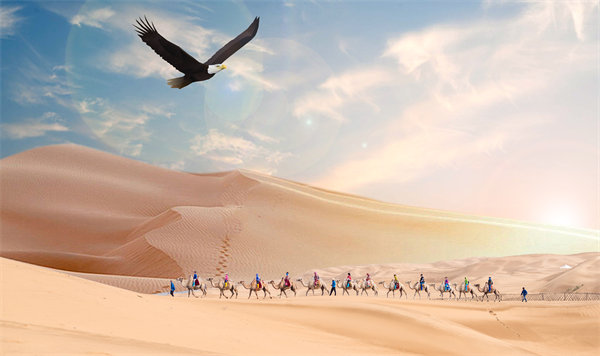 集團(tuán)管控升級迭代，激發(fā)企業(yè)活力，實現(xiàn)持續(xù)領(lǐng)先