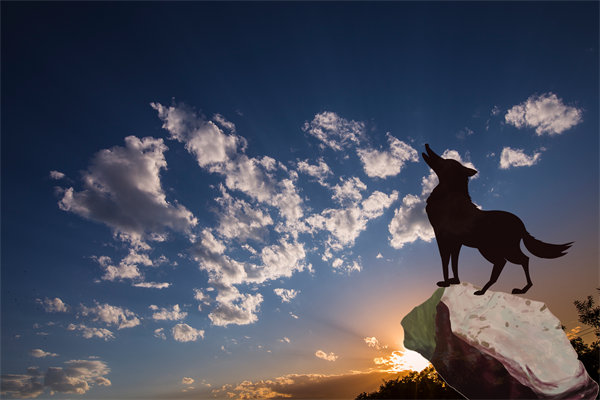 人力資源優(yōu)化配置：實現人力資源的最大化利用