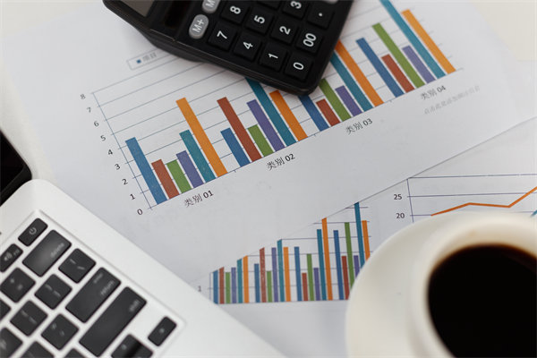 預算管理信息化建設：提升管理效率，降低管理成本