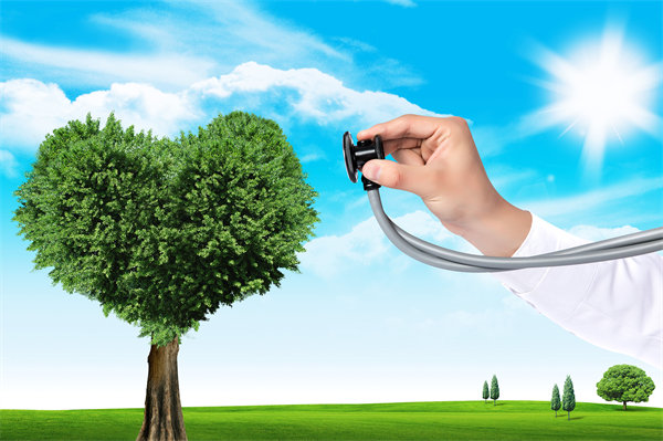 員工福利設(shè)計(jì)新思維：如何平衡成本效益與員工滿意度？