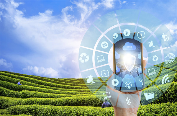 在精益轉(zhuǎn)型中，如何平衡標準化作業(yè)與靈活性需求？