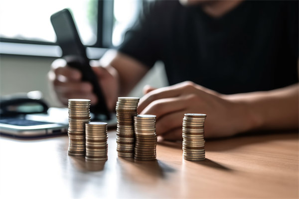 環(huán)境快速變化，如何確保預算執(zhí)行的靈活性和適應性？