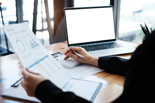 預(yù)算監(jiān)控與調(diào)整機(jī)制如何建立，確保預(yù)算執(zhí)行到位？