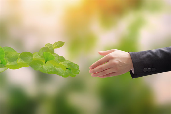 可持續(xù)發(fā)展成為趨勢(shì)，企業(yè)如何融入綠色戰(zhàn)略以促增長(zhǎng)？