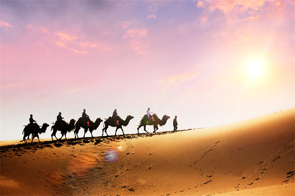 企業(yè)文化在人力資源管理中，扮演著怎樣的角色？