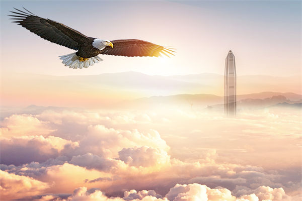 企業(yè)文化與企業(yè)管理如何協(xié)同，推動(dòng)企業(yè)持續(xù)發(fā)展？