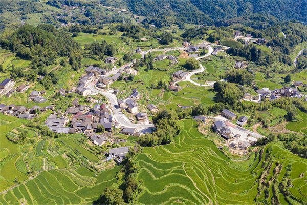 麗水人力資源咨詢公司如何優(yōu)化企業(yè)人才布局？