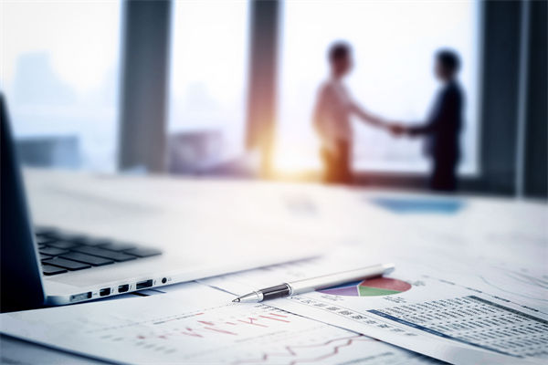 在預(yù)算執(zhí)行中，如何確保監(jiān)控與調(diào)整機(jī)制的有效性？