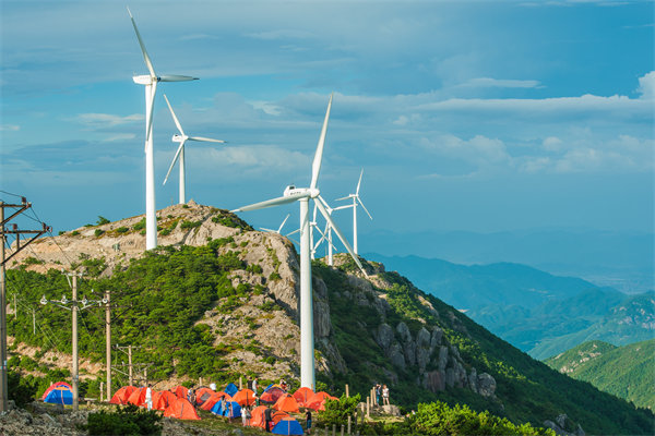 臺州組織規(guī)劃咨詢公司如何設計高效企業(yè)組織架構？