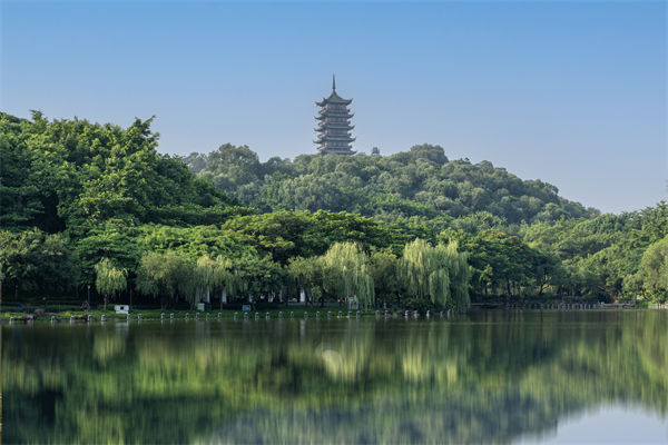 如何評估佛山集團管控咨詢公司的服務(wù)質(zhì)量和效果？