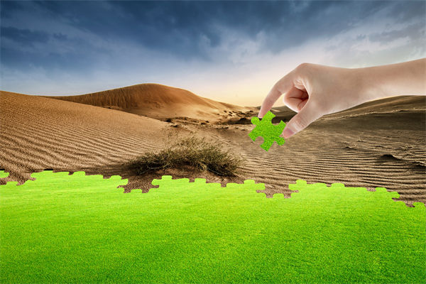 企業(yè)深陷困境，管理咨詢如何以雷霆手段打破發(fā)展僵局？