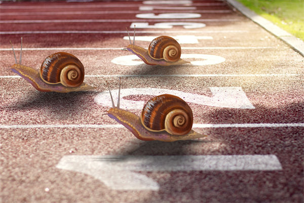 新業(yè)務(wù)拓展艱難，年度經(jīng)營計(jì)劃為其定制專屬發(fā)展路徑