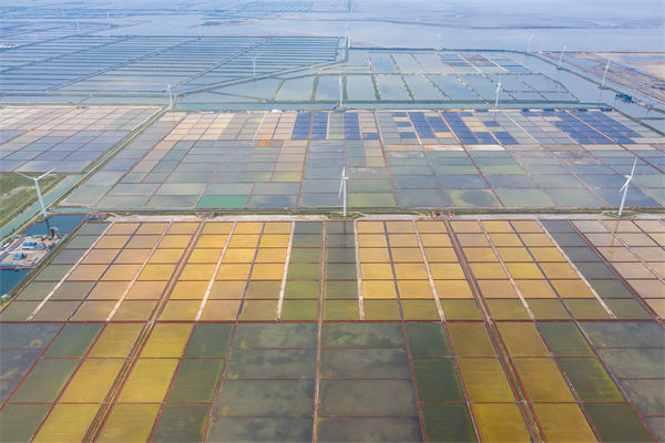 濰坊制造業(yè)招工難留人更難，濰坊人力資源咨詢公司如何破局用工困局？