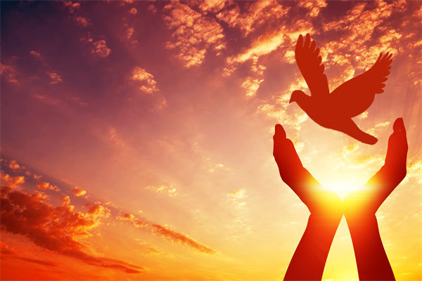 別讓盲卡盲盒“收割”孩子，關(guān)聯(lián)企業(yè)戰(zhàn)略怎么看？