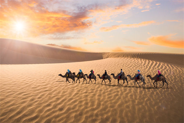 企業(yè)文化管理失效？這三大認(rèn)知誤區(qū)為何拖垮團(tuán)隊(duì)？