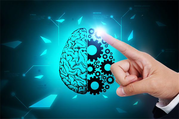 人力資源管理流程規(guī)范嚴(yán)謹(jǐn)，員工創(chuàng)造力為何反而受抑制？