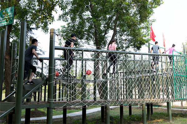 文化活動形式豐富多樣，組織凝聚力提升為何緩慢？