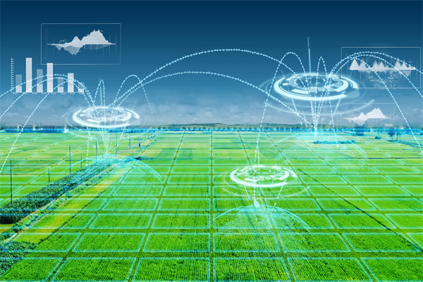 溫州種出2.1米高巨型水稻，精益生產怎么看？