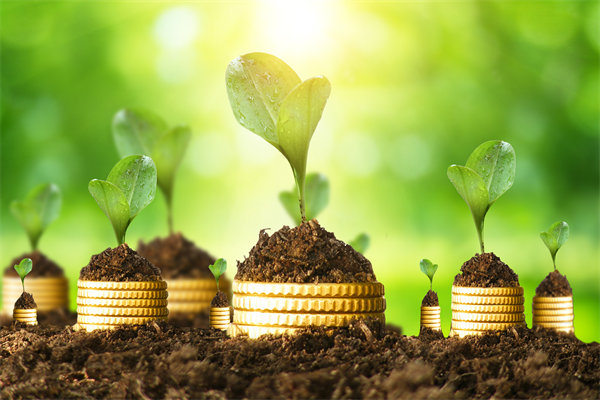 預(yù)算管理咨詢公司如何幫助企業(yè)破解資金錯(cuò)配問(wèn)題？