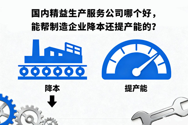 國內(nèi)精益生產(chǎn)服務(wù)公司哪個好，能幫制造企業(yè)降本還提產(chǎn)能的？